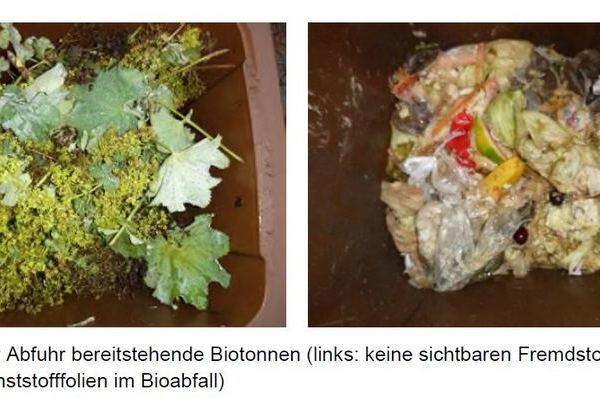 Biotonnen mit und ohne Fremdstoffe, Abb. 11, Seite 21 der Analyse