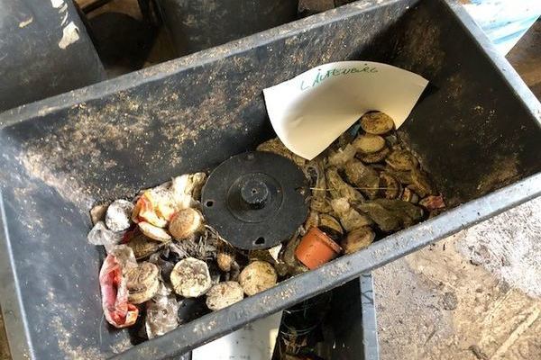 Aussortierte Fremdstoffe im Biom�ll