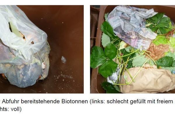 Biotonnen mit und ohne Fremdstoffe, gut und schlecht gef�llt, Abb 13, Seite 22 der Analyse