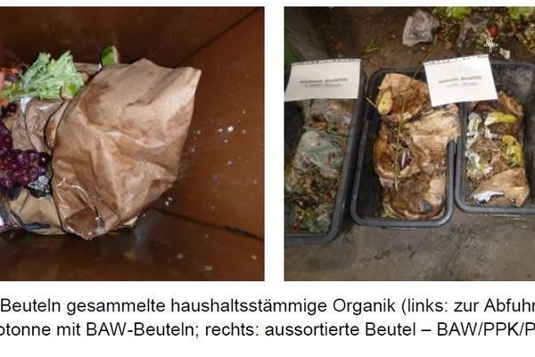 In Beuteln gesammelter Biom�ll sowie aussortierte Beutel, Abb. 18, Seite 25 der Analyse