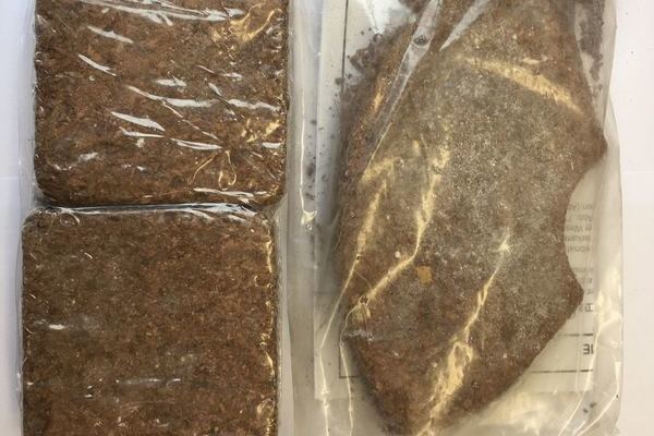 Das Bild zeigt eingepackte Presslinge aus Kokossubstrat. Links die quadratischen für die 60 und 120 l Biotonne, rechts die halbrunden für die 240 l Biotonne, Bildrechte EBA Das Bild zeigt eingepackte Presslinge aus Kokossubstrat. Links die quadratischen für die 60 und 120 l Biotonne, rechts die halbrunden für die 240 l Biotonne, Bildrechte EBA