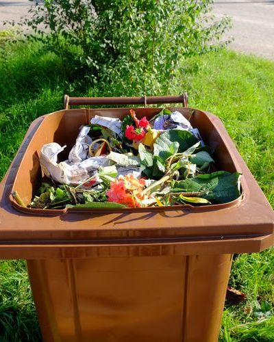 Das Bild zeigt eine braune, geöffnete Biotonne mit Obst.- und Gemüseabfälle und Grünschnitt auf einer Wiese. Im Hintergrund steht ein Busch. Bildrechte EBA