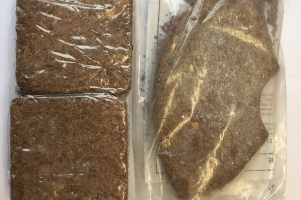 Presslinge aus Kokossubstrat für die 60/120 l Biotonne (quadratisch) und die 240 l Biotonne (halbrund) Presslinge aus Kokossubstrat für die 60/120 l Biotonne (quadratisch) und die 240 l Biotonne (halbrund)