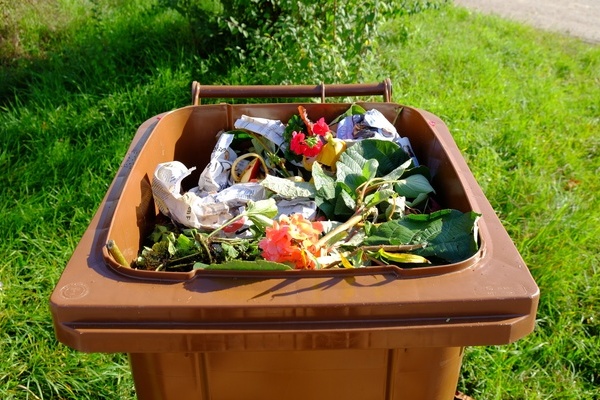 Braune Biotonne mit Inhalt auf grüner Wiese Braune Biotonne mit Inhalt auf grüner Wiese